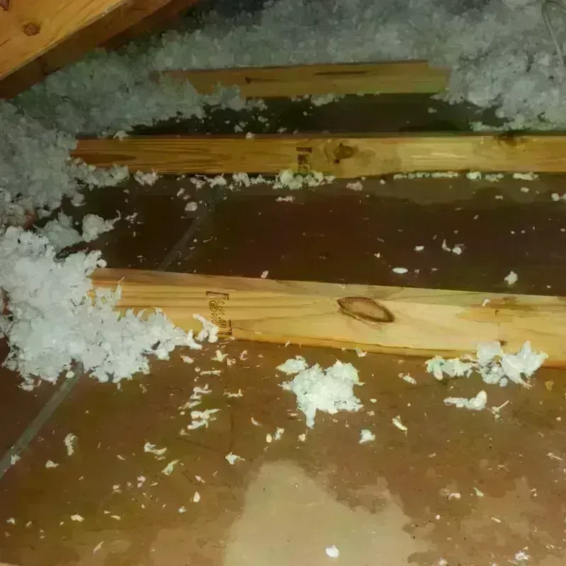 Attic Water Damage in Teague, TX