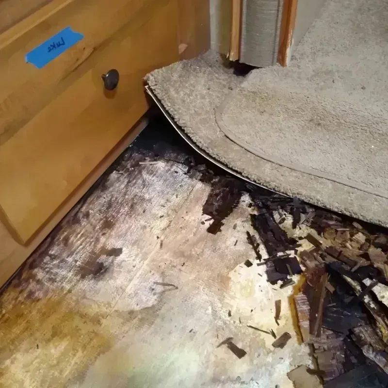 Wood Floor Water Damage in Teague, TX